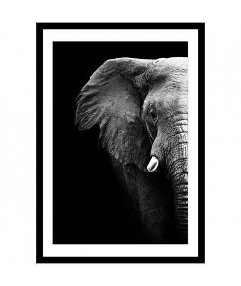 ELEPHANT Affiche encadrée 40x60cm - Eléphant noir & blanc