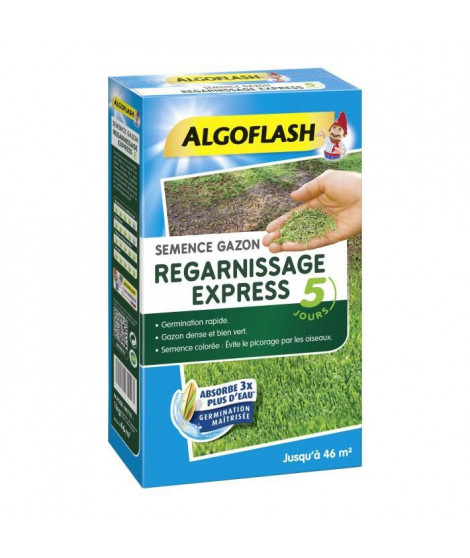 ALGOFLASH Semences gazon regarnissage express - 1 Kg