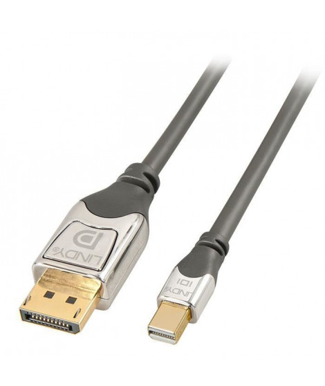 LINDY Câble DisplayPort vers Mini DisplayPort Cromo - 0.5m