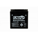 Batterie GTX16-BS AGM - Sans Entretien - Livrée Avec Pack Acide
