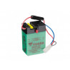 Batterie 6N2A-2C Conventionnelle Avec Entretien - Livrée Sans Acide