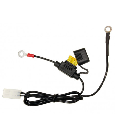 Câble pour Chargeur de Batterie Pour ACCUGARD-900 Avec Fusible
