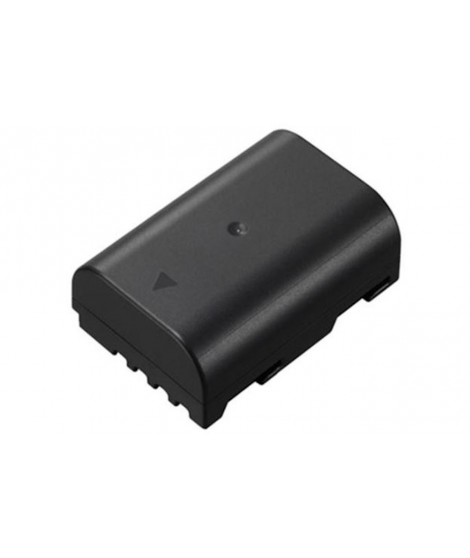 Batterie appareil photo Panasonic DMW-BLF19 pour GH5