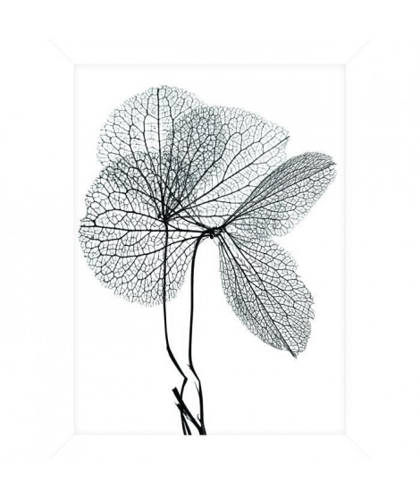 Cadre pour coffre ou étagere Fleur Gris - 18 x 24 cm - Blanc et noir